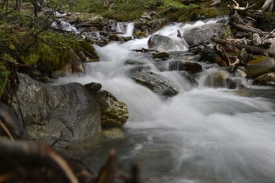 DSC_1670.JPG