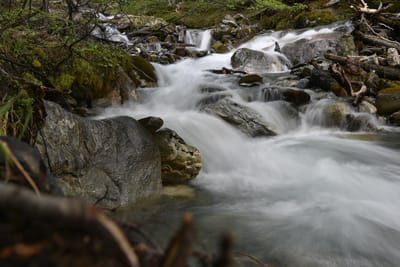DSC_1671.JPG