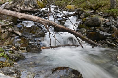DSC_1672.JPG