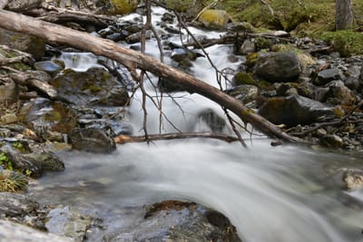 DSC_1673.JPG