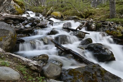 DSC_1674.JPG