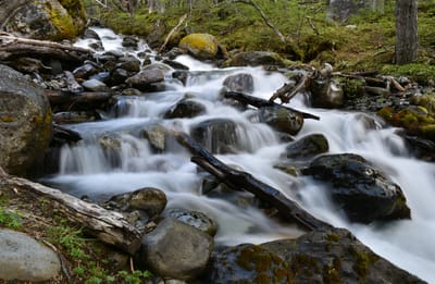 DSC_1674 e.jpg