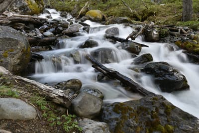 DSC_1675.JPG