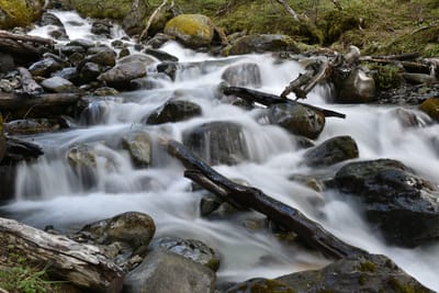 DSC_1676.JPG