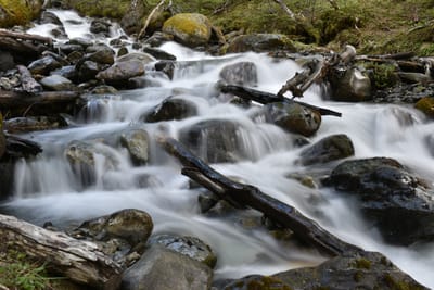 DSC_1677.JPG