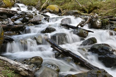 DSC_1678.JPG