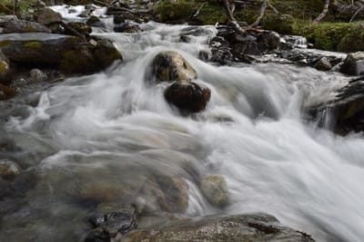 DSC_1682.JPG