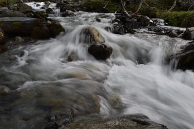 DSC_1683.JPG