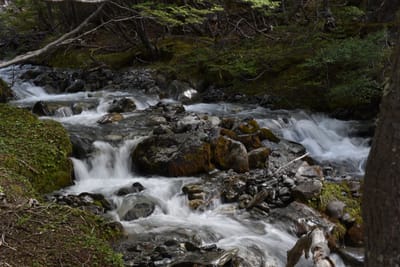 DSC_1684.JPG