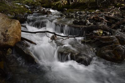 DSC_1685.JPG
