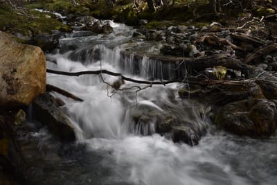 DSC_1686.JPG