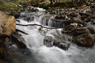 DSC_1687.JPG