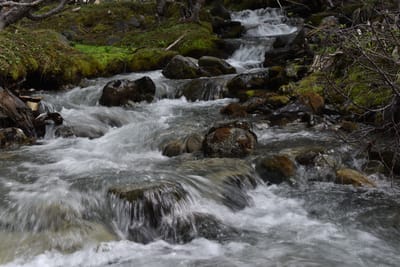 DSC_1691.JPG
