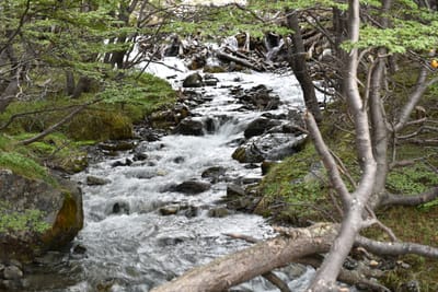 DSC_1692.JPG