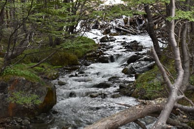 DSC_1693.JPG