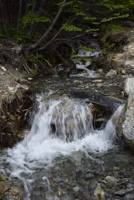 DSC_1702.JPG