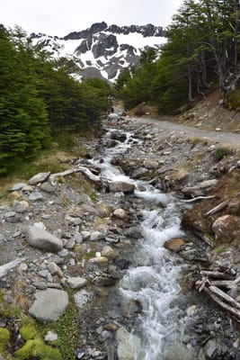 DSC_1705.JPG