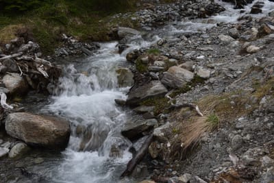 DSC_1708.JPG