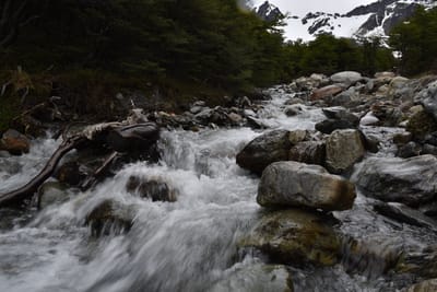 DSC_1709.JPG