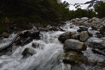 DSC_1710.JPG