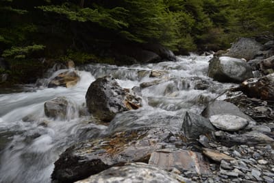 DSC_1711.JPG