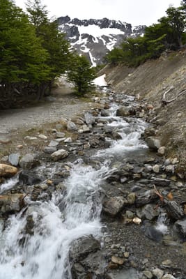 DSC_1717.JPG