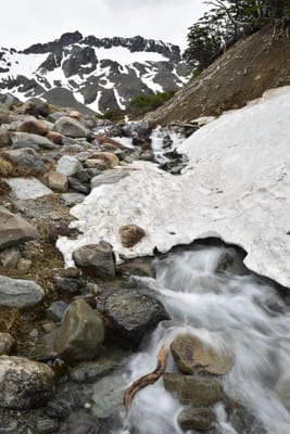 DSC_1718.JPG