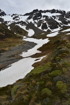 DSC_1720.JPG