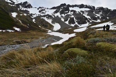 DSC_1721.JPG
