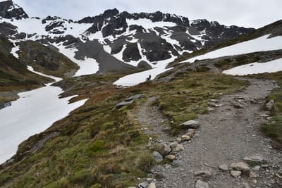 DSC_1725.JPG