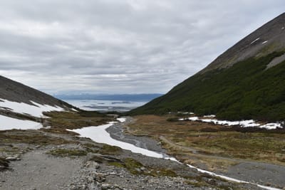 DSC_1730.JPG