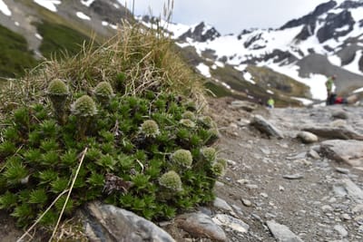 DSC_1743.JPG