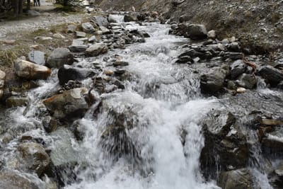 DSC_1746.JPG