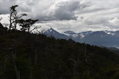 DSC_1750.JPG