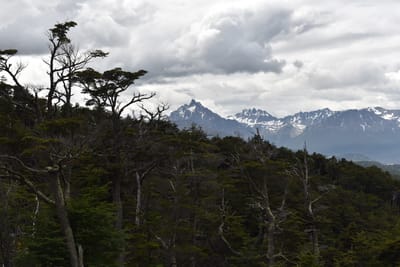 DSC_1751.JPG