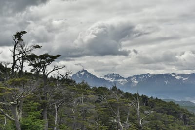 DSC_1752.JPG