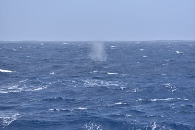 DSC_9386.JPG