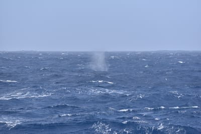 DSC_9387.JPG