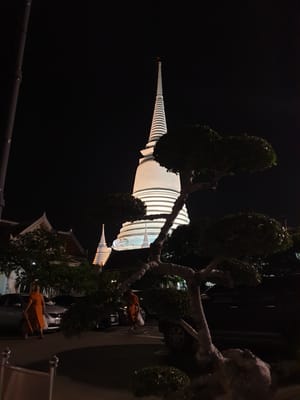 20190623_201151.jpg