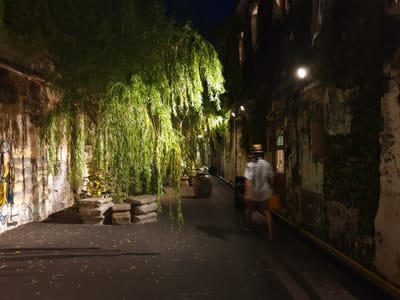 20190625_192913.jpg