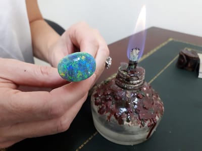 20190321_112631.jpg