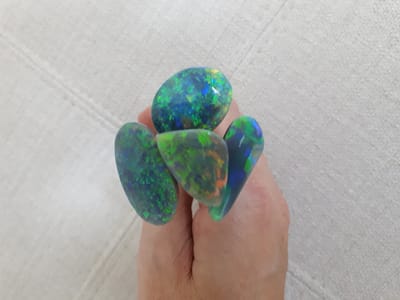20190321_114213.jpg