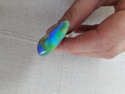 20190321_114253.jpg