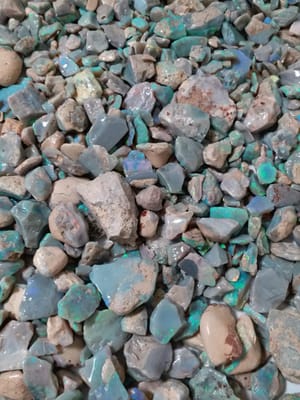 IMG-20190321-WA0064.jpg