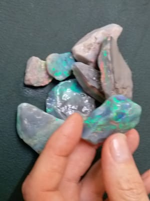 IMG-20190321-WA0151.jpg