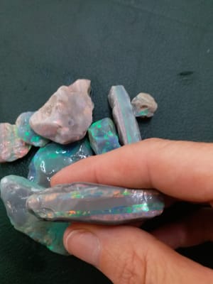 IMG-20190321-WA0161.jpg