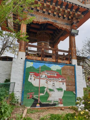 20190422_114954.jpg