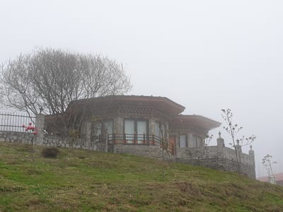 20190422_132936.jpg