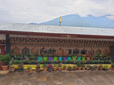 20190422_165236.jpg