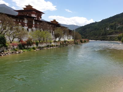 20190423_114100.jpg